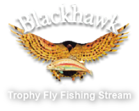 Blackhawk Fly Fishing